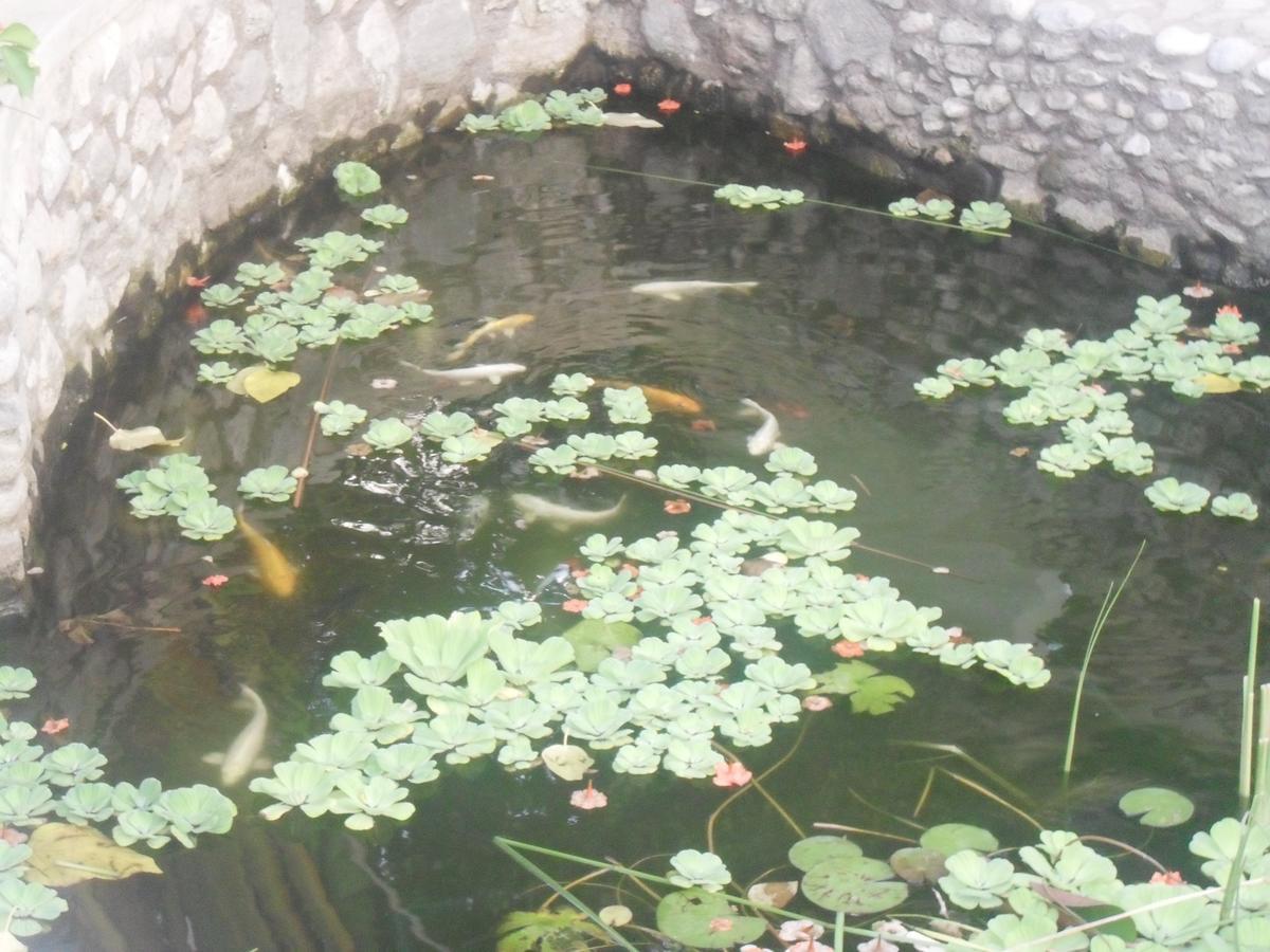 Garden Roomz Oman Maskat Dış mekan fotoğraf