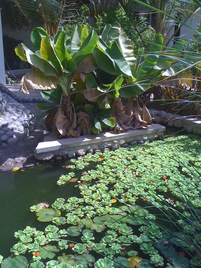 Garden Roomz Oman Maskat Dış mekan fotoğraf