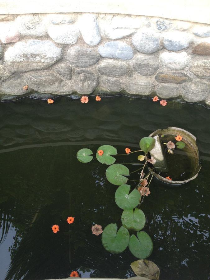 Garden Roomz Oman Maskat Dış mekan fotoğraf