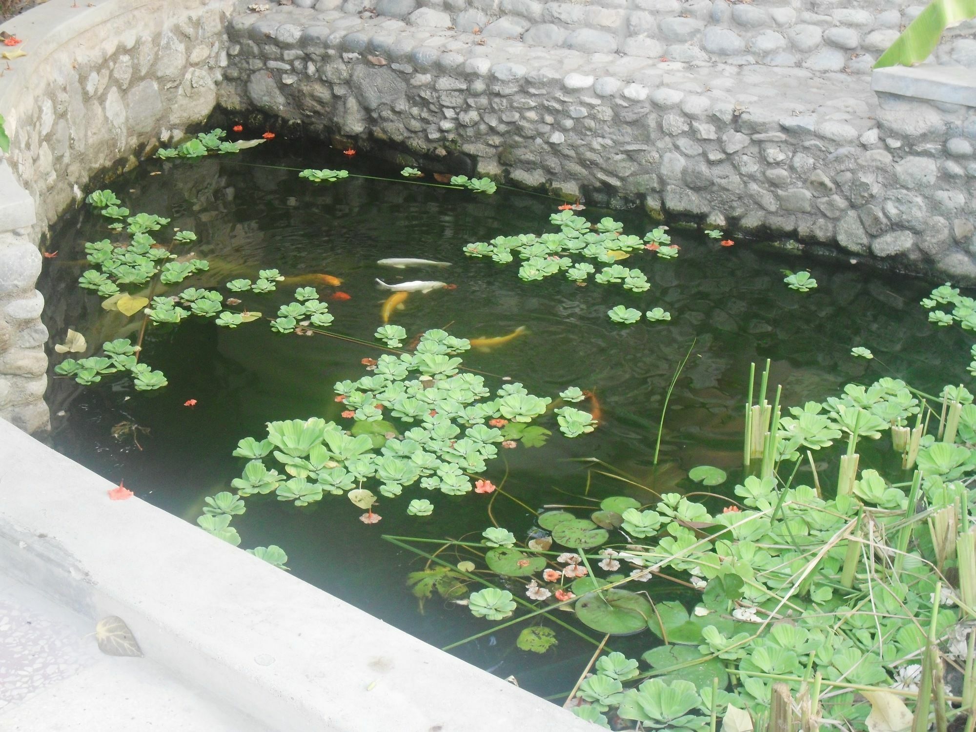 Garden Roomz Oman Maskat Dış mekan fotoğraf
